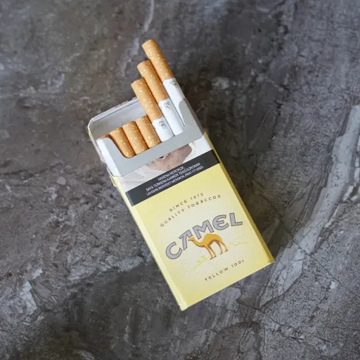 Camel 100 Yellow (10x20)