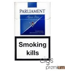 Parliament Aqua 100 (10x20)