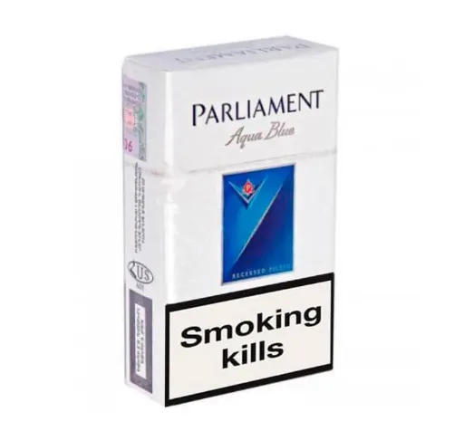 Parliament Aqua Blue (10x20)