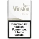 Winston Silver (10x20)